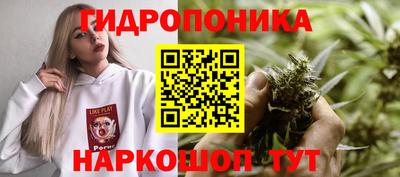 PSILOCYBIN Будённовск