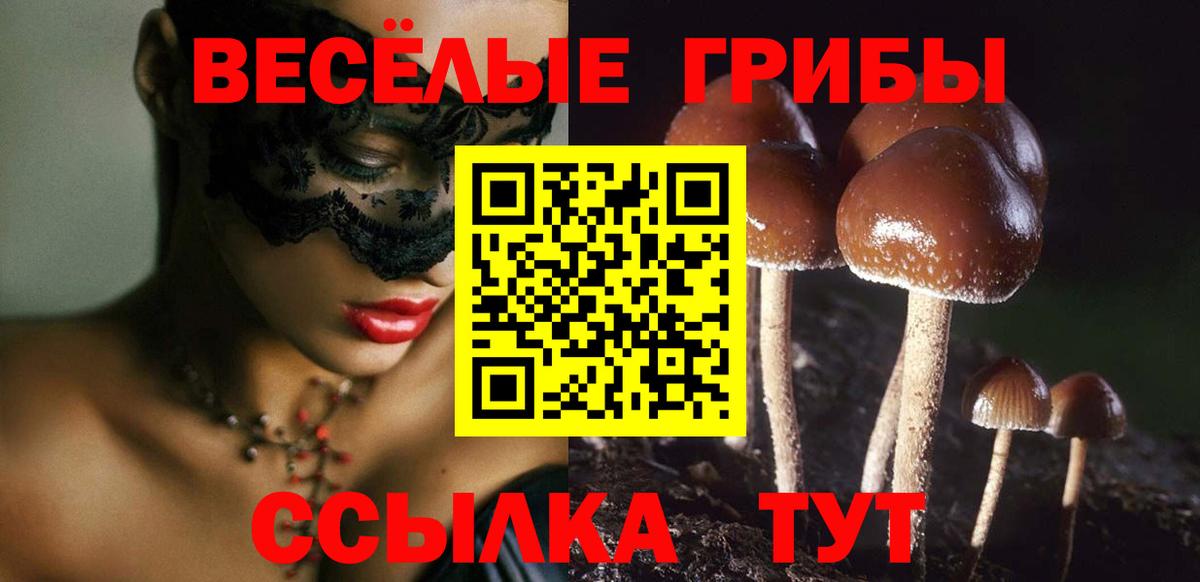 Псилоцибиновые грибы Cubensis  где продают   Вход с VPN  Омск  Галлюциногенные грибы Magic Shrooms 